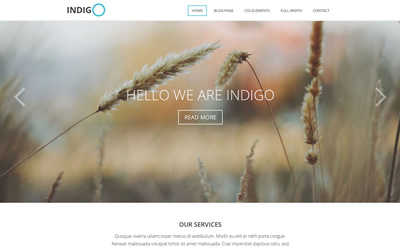 Viva Themes Indigo WordPress Theme 2.2.0 Viva Themes Indigo WordPress Theme 2.2.0