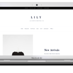 lily_theme_package