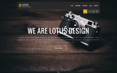 Viva Themes Lotus WordPress Theme 1.1.0