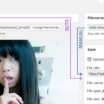 media-file-renamer-pro
