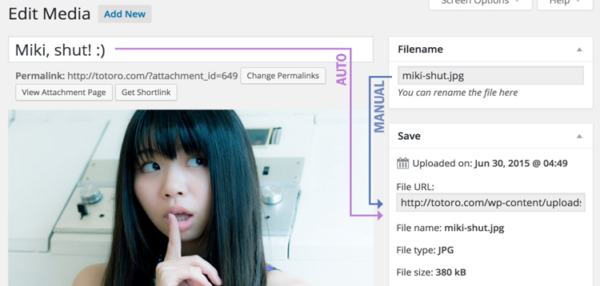 Media File Renamer PRO 6.2.1
