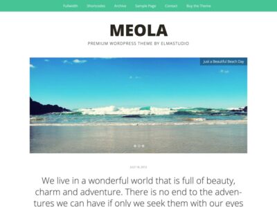 Elmastudio Meola WordPress Theme 1.0.7