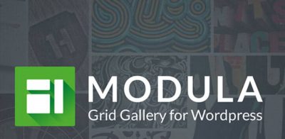 Modula Pro + Addons 2.5.2