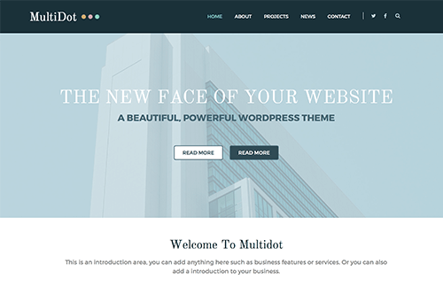 Theme Junkie Multidot WordPress Theme 1.0.0