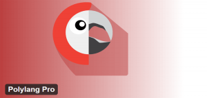 Polylang Pro 3.8.1 Polylang Pro 3.8.1