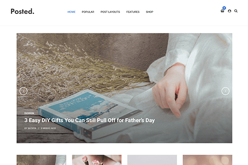 Theme Junkie Posted WordPress Theme 1.0.0