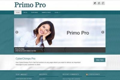 CyberChimps Primo Pro WordPress Theme 1.5