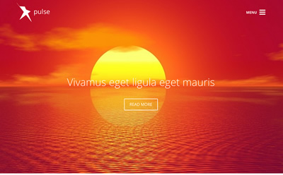 Viva Themes Pulse WordPress Theme 1.1.0 Viva Themes Pulse WordPress Theme 1.1.0