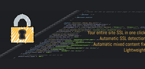 Really Simple SSL Pro 9.5.8.1 Really Simple SSL Pro 9.5.8.1
