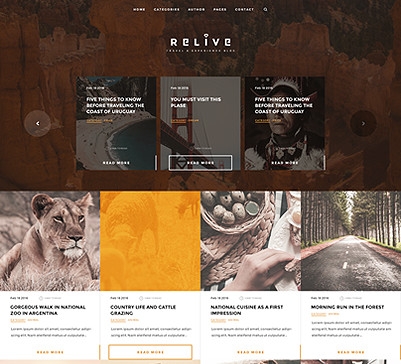 Tesla Themes Relive WordPress Theme 1.0.14