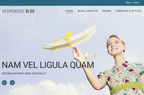 CyberChimps Responsive Blog WordPress Theme 1.1