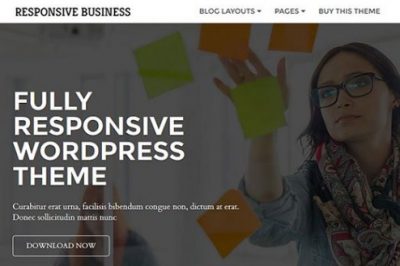 CyberChimps Responsive Business WordPress Theme 1.1