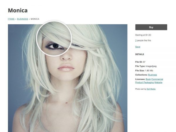 Graph Paper Press Sell Media Magnifier Addon 2.0.1 Graph Paper Press Sell Media Magnifier Addon 2.0.1