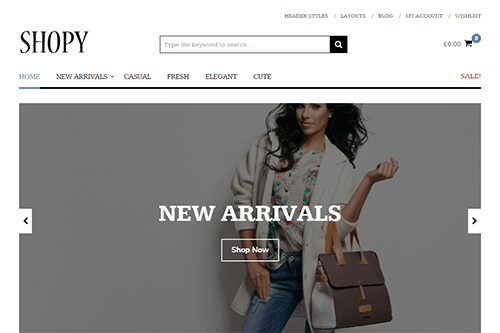 Theme Junkie Shopy WordPress Theme 1.0.3