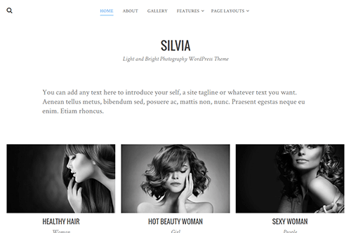 Theme Junkie Silvia WordPress Theme 1.0.9