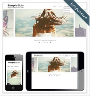 Dessign Simple Slider Responsive WordPress Theme 2.0