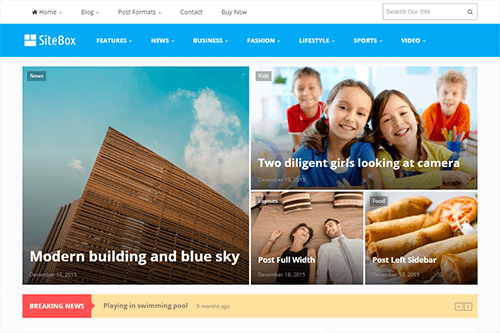 Theme Junkie SiteBox WordPress Theme 1.2.0