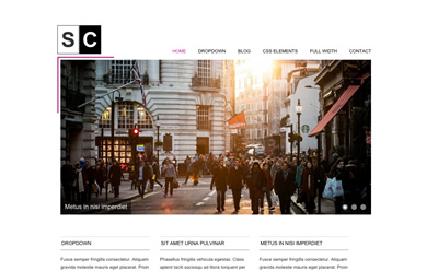 Viva Themes Space Color WordPress Theme 3.1.0