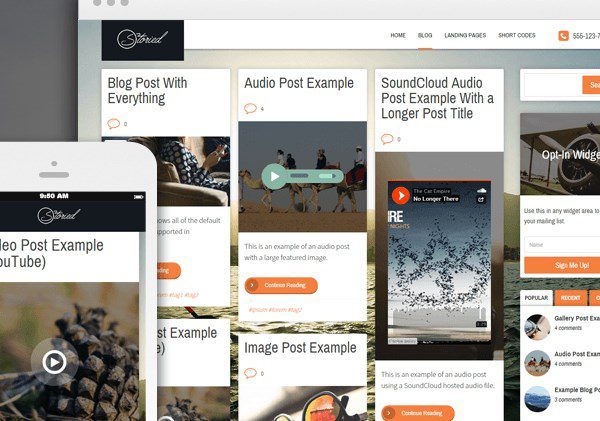 Thrive Themes Storied WordPress Theme 2.11.1