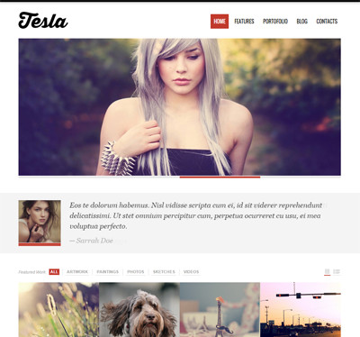 Tesla Themes Tesla WordPress Theme 1.8.2