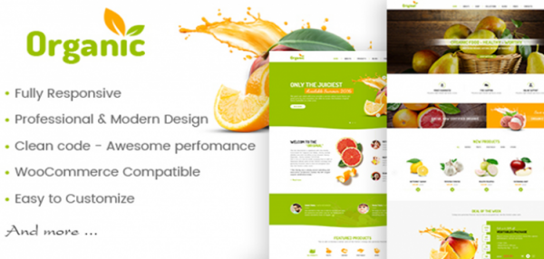 AmyOrganic - Organic and Healthy Theme for WordPress  1.0.2