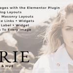 themeforest-19501512-averie-a-blog-shop-theme-wordpress-theme