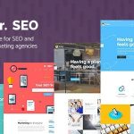 themeforest-19639484-mr-seo-a-friendly-seo-marketing-agency-and-social-media-theme