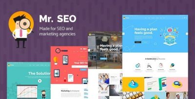 Mr. SEO - Social Media Marketing Agency Theme 1.9