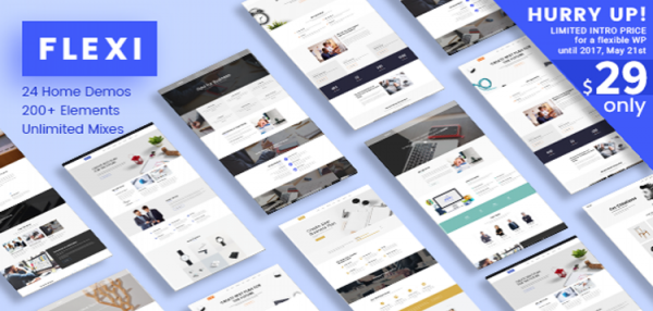 Flexible WordPress Theme | Flexi