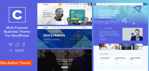 Capital - Multi Purpose Business WordPress Theme 2.2