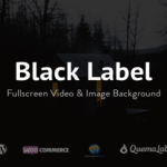 themeforest-336949-black-label-fullscreen-video-image-background-wordpress-theme