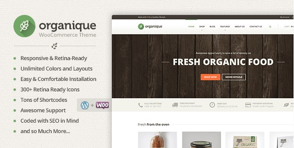 Organique – WordPress Theme For Healthy Food Shop 1.11.6