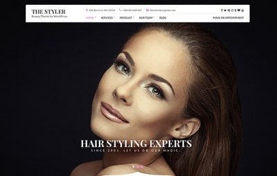 CSS Igniter The Styler WordPress Theme 1.4.4