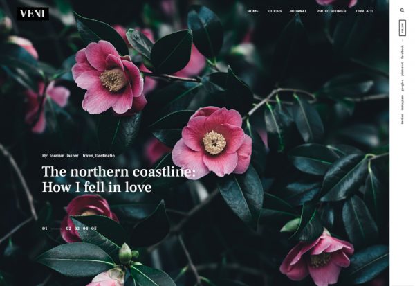 Themes Kingdom Veni WordPress Theme 3.0.1