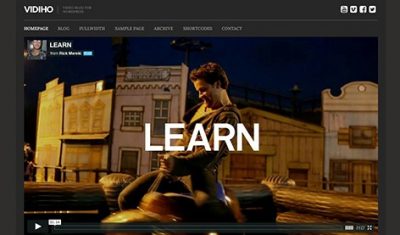 CSS Igniter Vidiho WordPress Theme 2.5