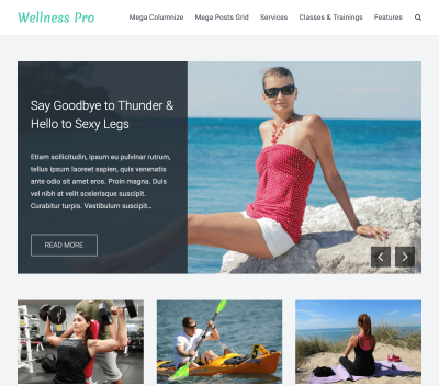 FameThemes Wellness Pro WordPress Theme 1.2