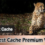 wp-fastest-cache-premium
