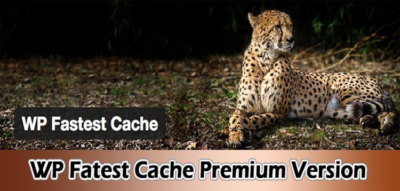 WP Fastest Cache WordPress Plugin 1.6.2