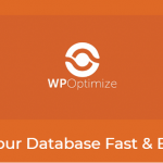 wp-optimize-premium