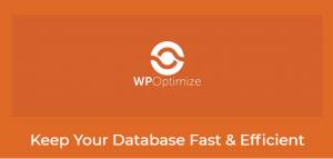 WP-Optimize Premium 4.5.1
