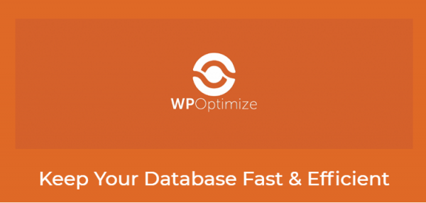 WP-Optimize Premium 4.5.0