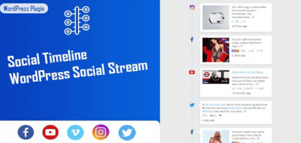 Social Timeline - WordPress Social Stream  1.2